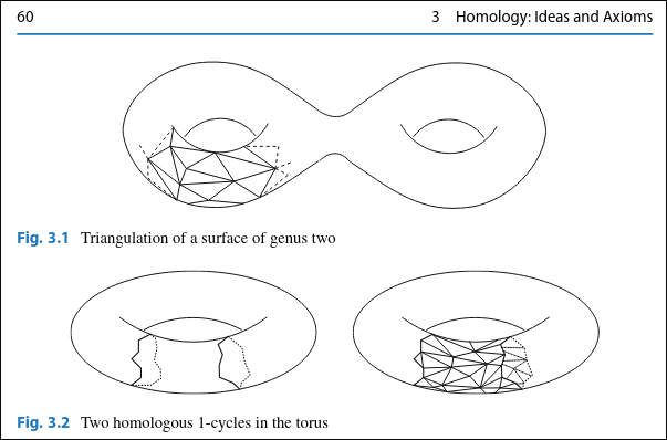 I was told my visualizations should have been more technical, like this visualization of a triangulation of a surface from “Holger Kammeyer, Introduction to Algebraic Topology (Springer International Publishing, 2022)”